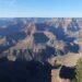 grand canyon flood, importance of trees, insights on plants