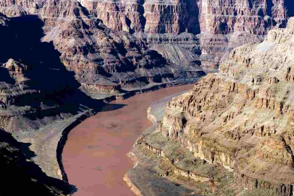 grand canyon flood, insights on plants, importance of trees